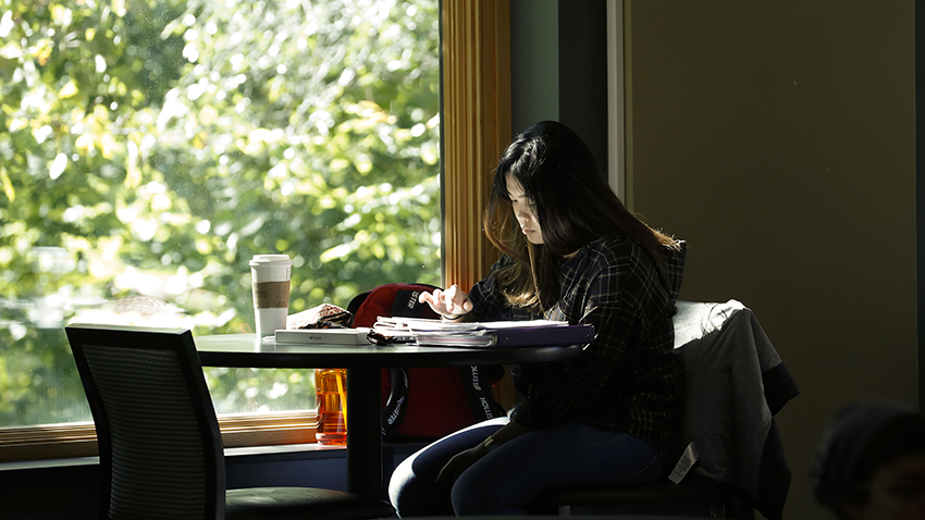 student studies near a window