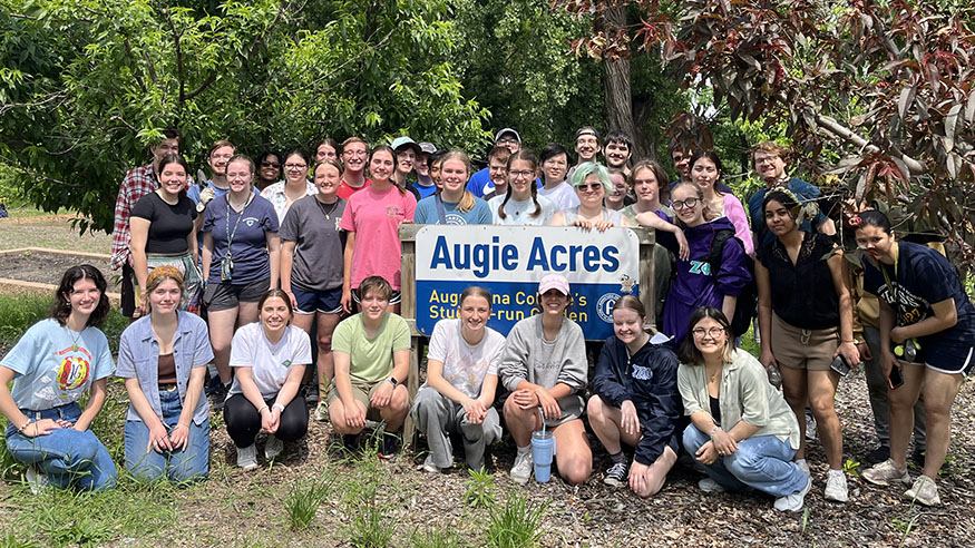 Augie Acres group