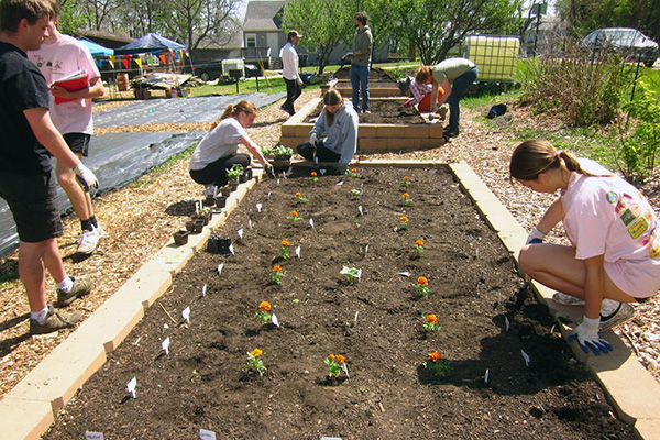 Students working in the Augie Acres garden.