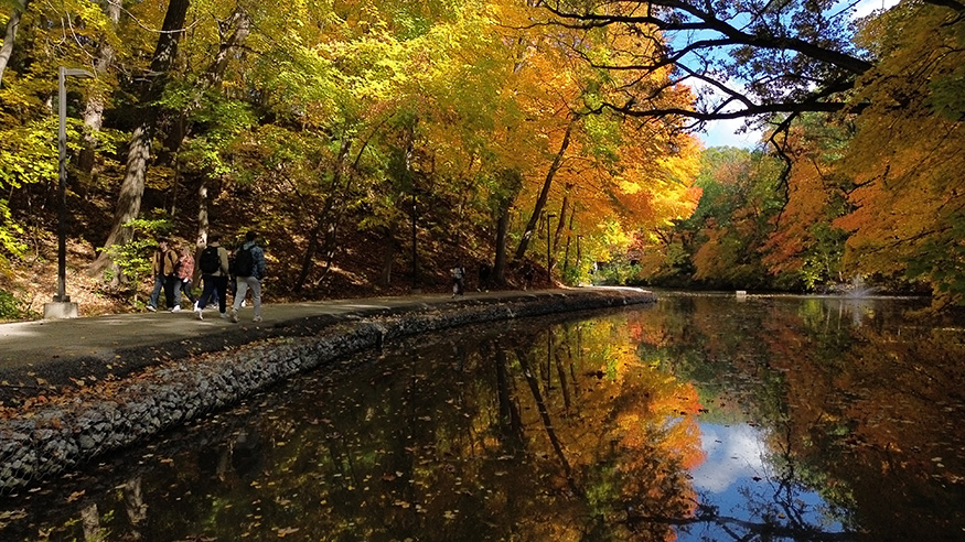 Augustana's Swanie Slough Path in the autumn - a body of water surrounded by yellow, orange, and green foliage