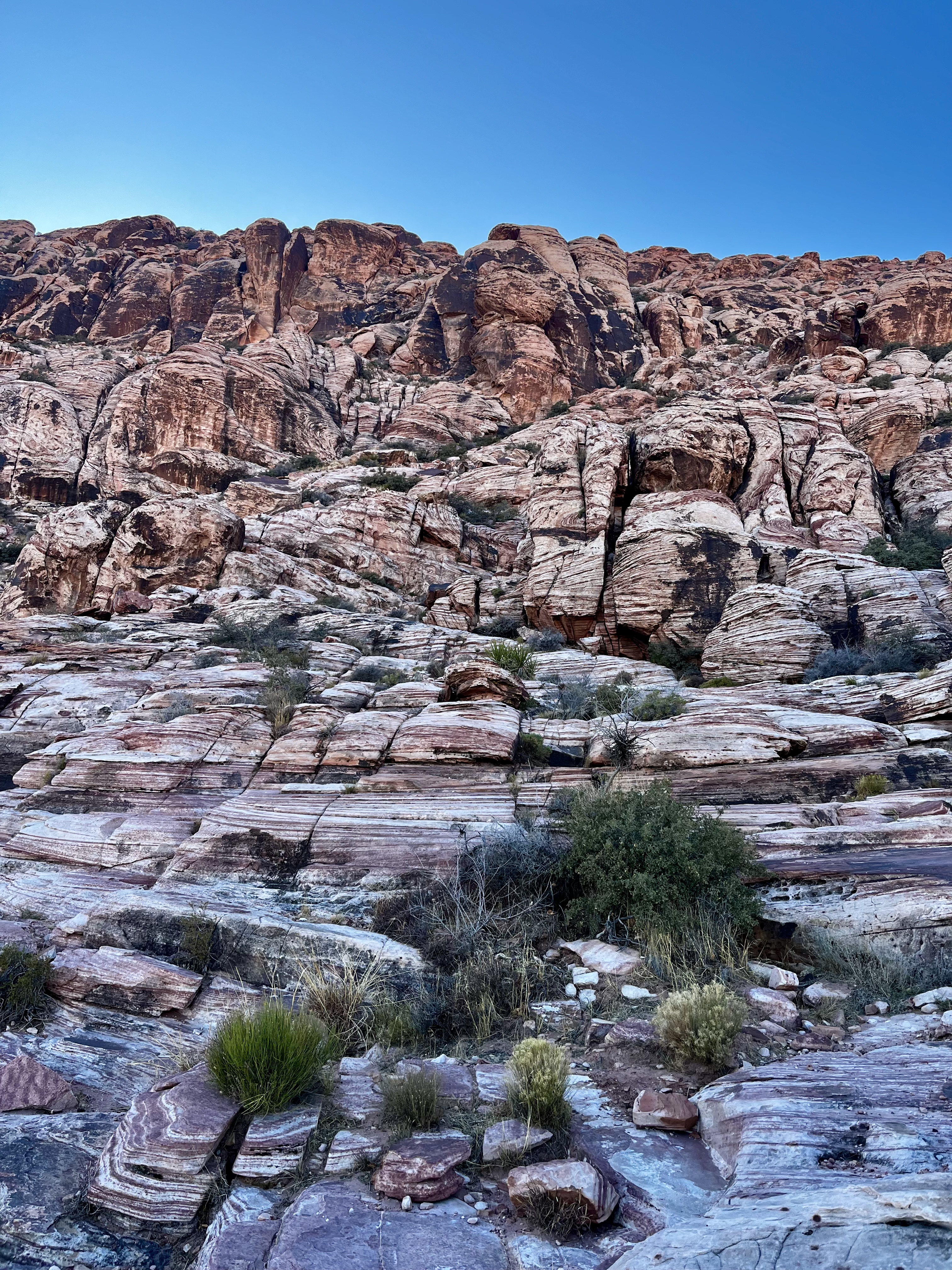 Calico Basin