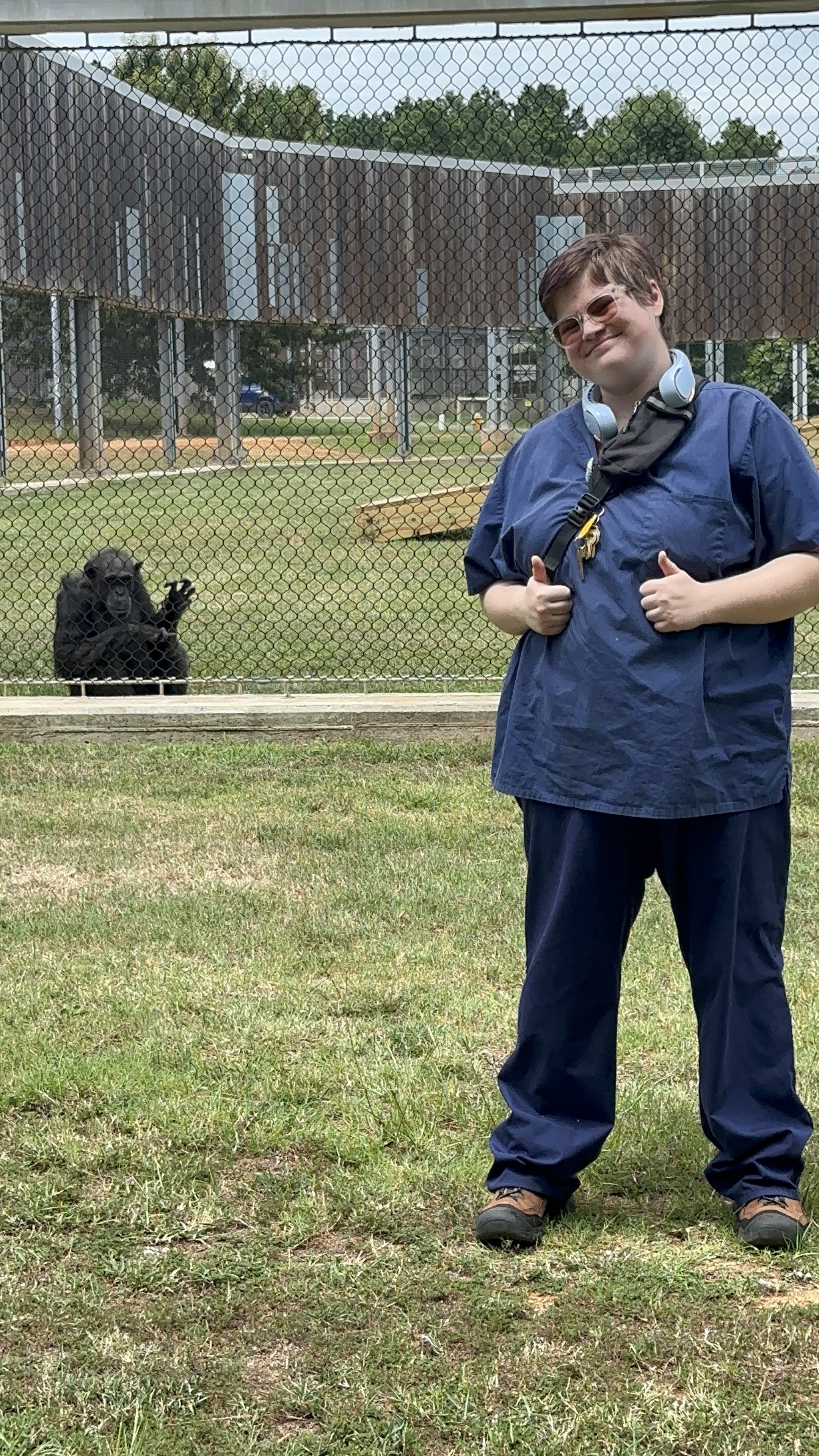 Joyce the chimp and the student