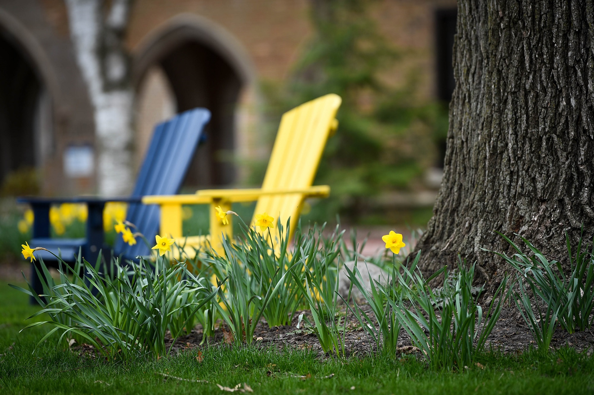Campus chairs