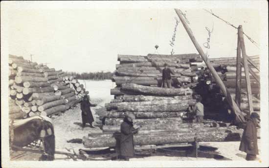 Photograph of logging camp near Ogema, Wisconsin, 1914. From the Col. Robert E. Swanson family papers, Swenson Swedish Immigration Research Center.