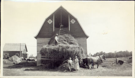 Photograph of S. A. Swanson loading hay into the barn at his farm in Ogema, Wisconsin, 1938. From the Col. Robert E. Swanson family papers, Swenson Swedish Immigration Research Center.
