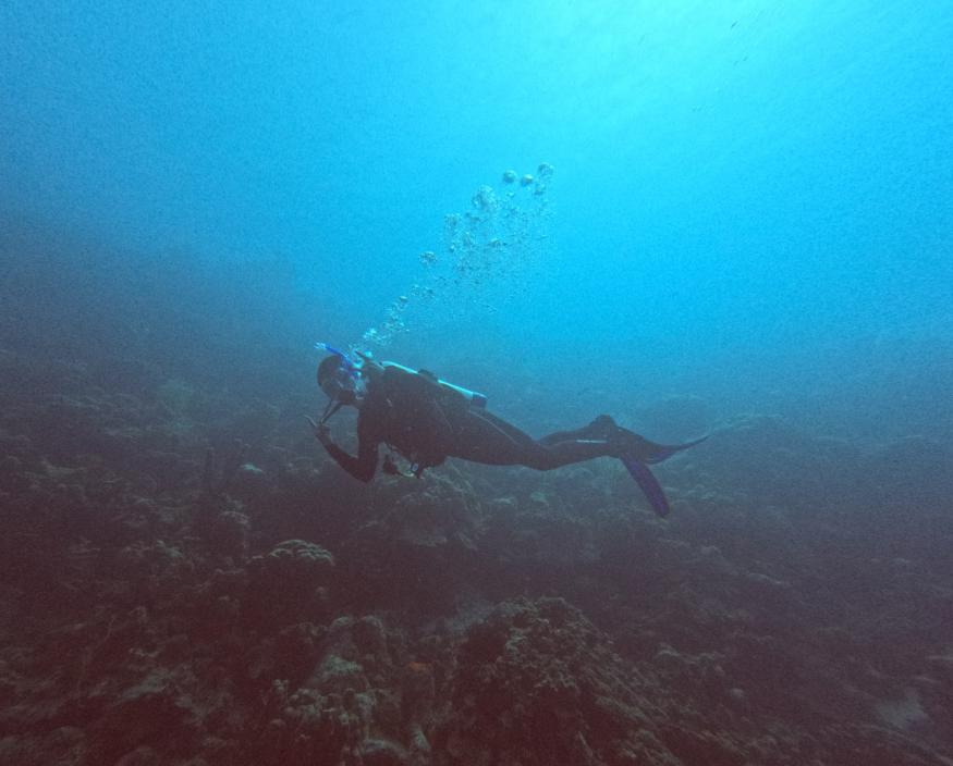 picture of a diver underwater