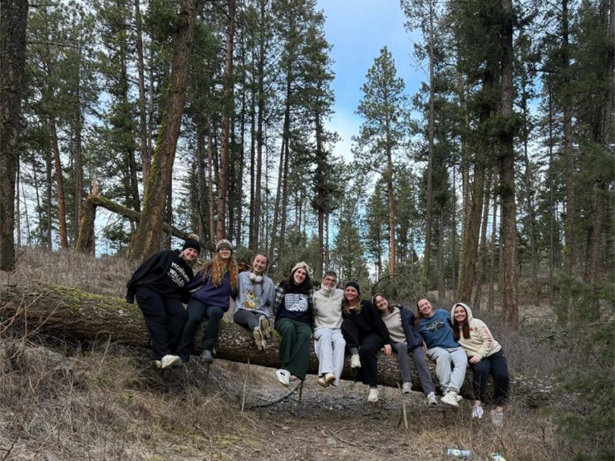 a group of students sitting on a fallen log