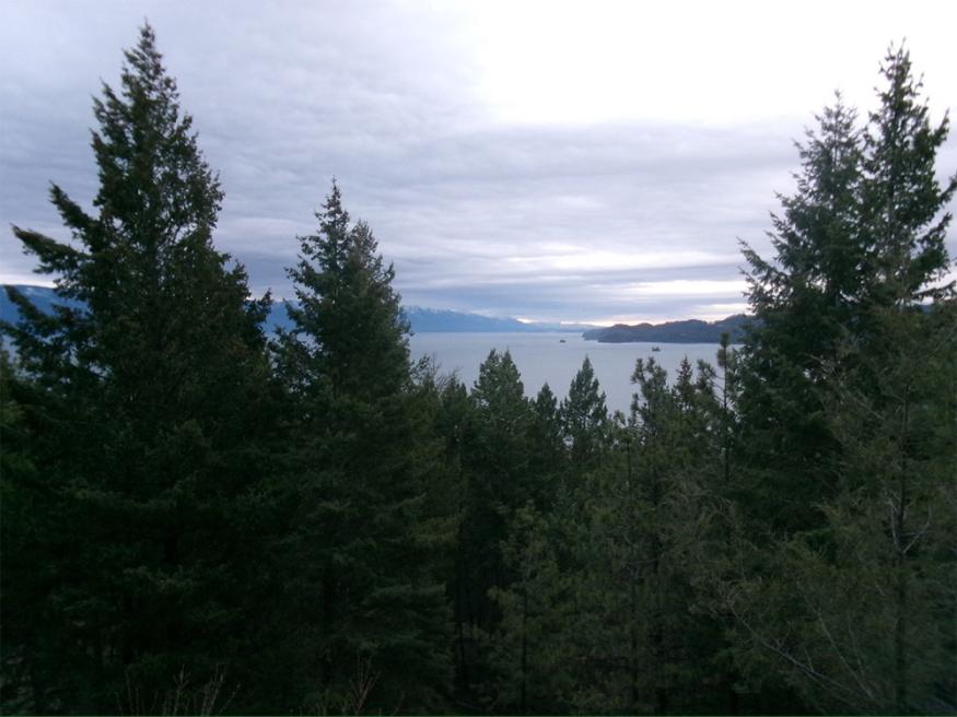 a photo of an outlook with trees and water
