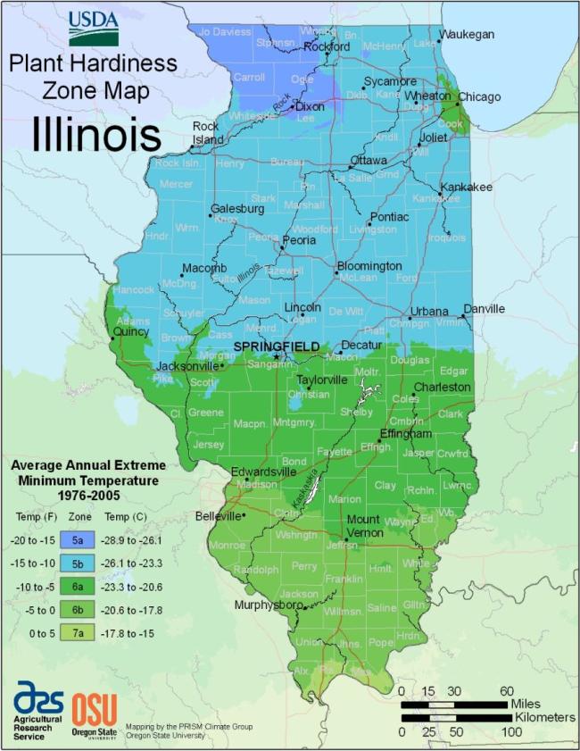 USDA hardiness zones Illinois map