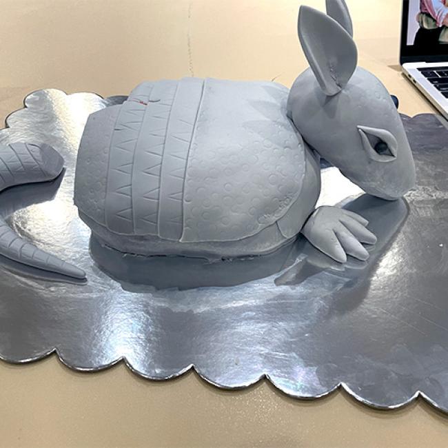 Armadillo cake