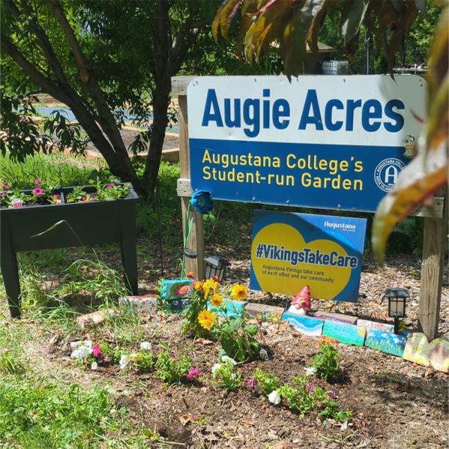 Augie Acres