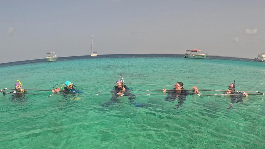 Students swimming in Bonaire