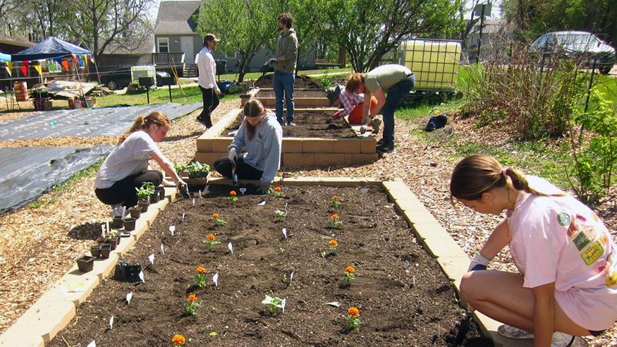Students working in the Augie Acres garden.